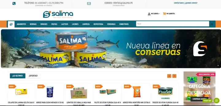 Diseño del proyecto Grupo Salima